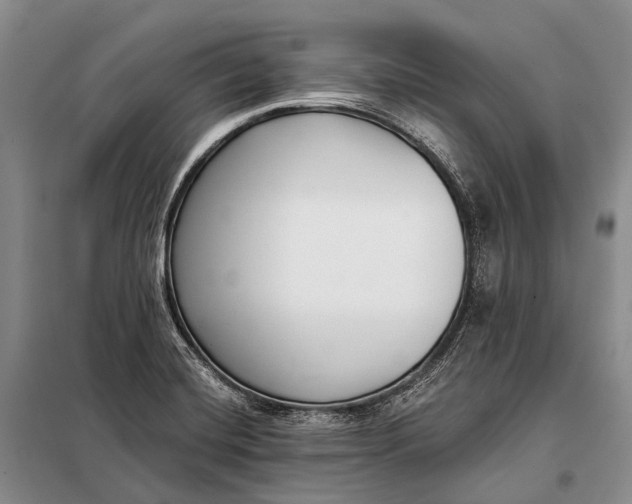 X0000098051420200804181311