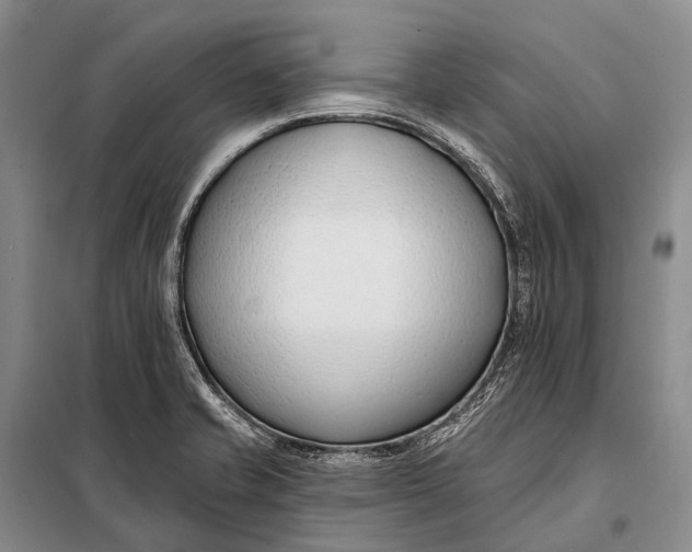 X0000098051421200804181311