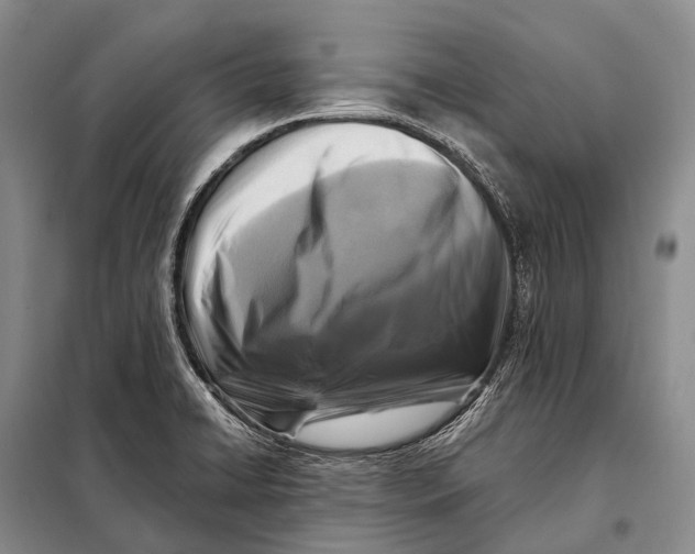 X0000098051422200804181311