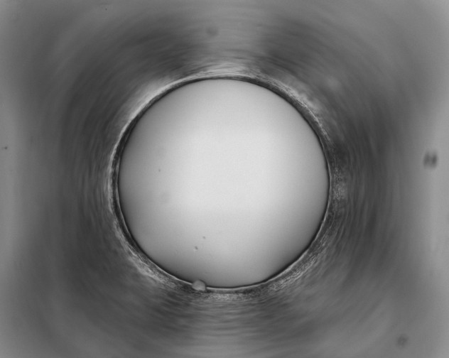 X0000098051423200804181311