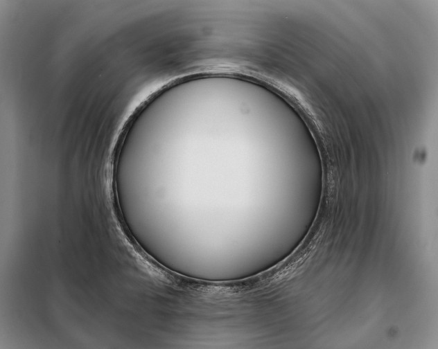 X0000098051424200804181311