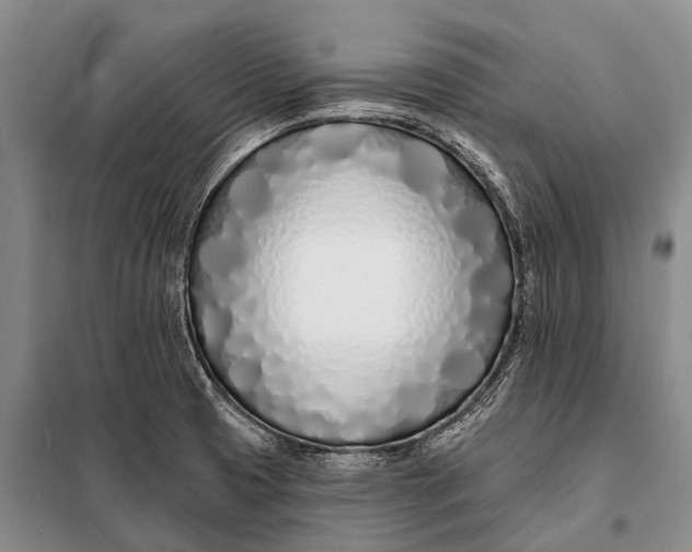 X0000098051425200804181311