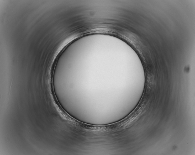 X0000098051426200804181311