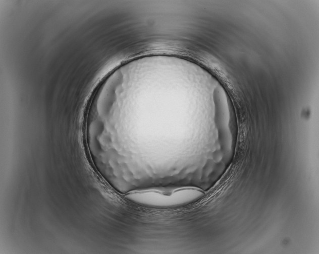 X0000098051427200804181311