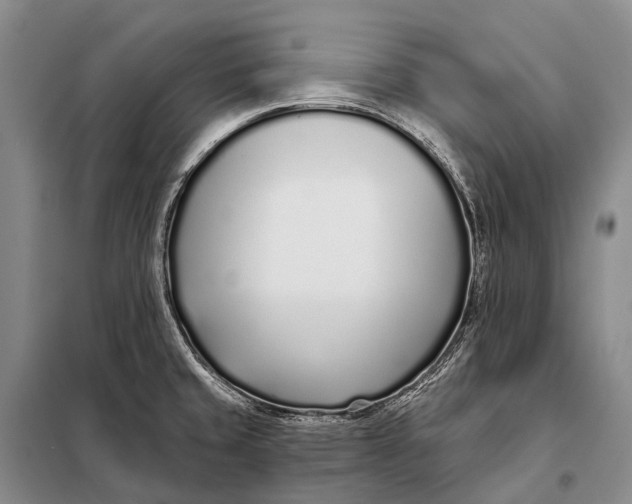 X0000098051429200804181311