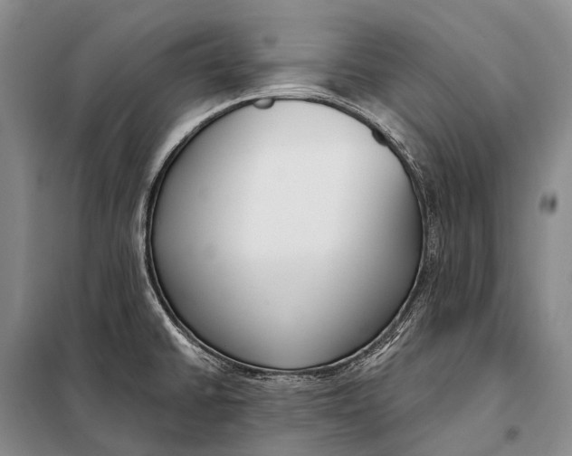 X0000098051430200804181312