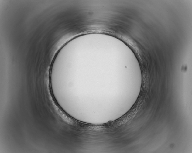 X0000098051431200804181312