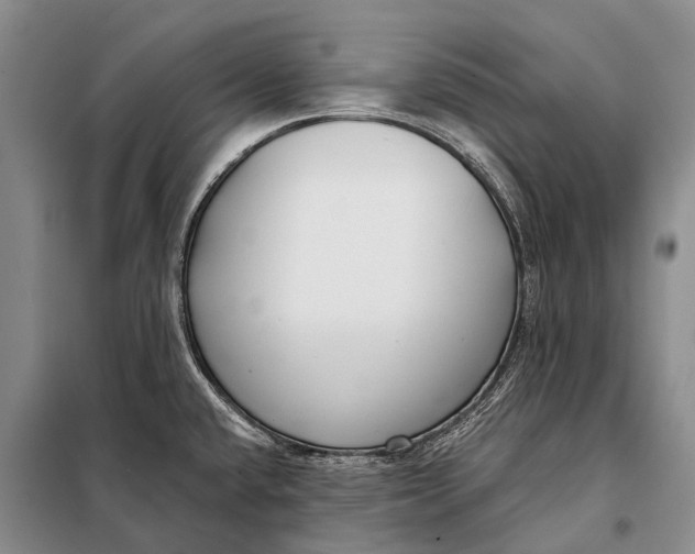 X0000098051432200804181312