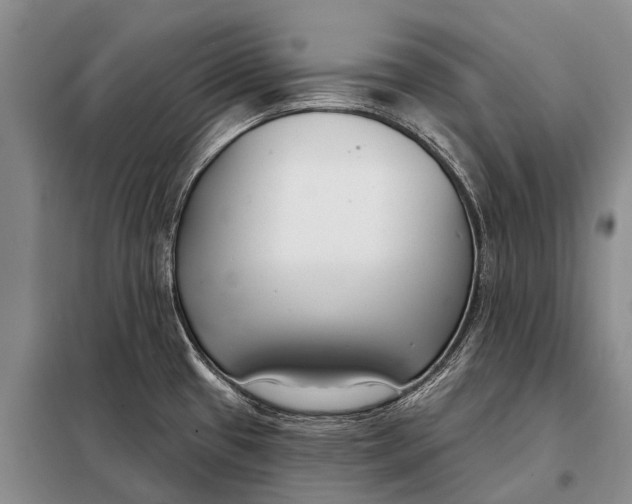 X0000098051433200804181312