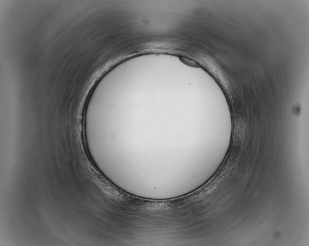 X0000098051435200804181312