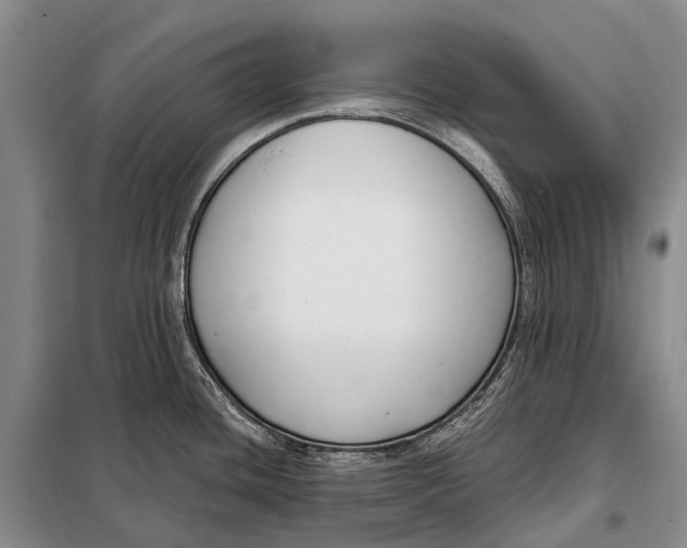 X0000098051436200804181312