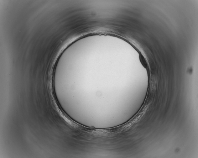 X0000098051437200804181312