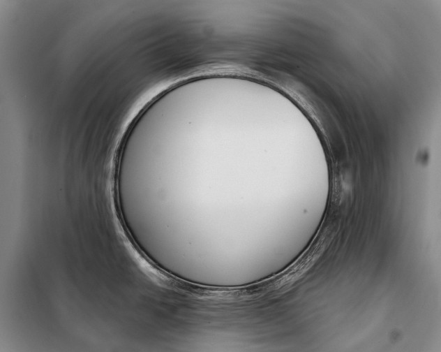 X0000098051438200804181312