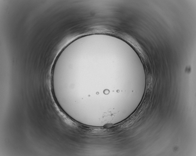 X0000098051439200804181312