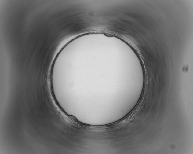 X0000098051440200804181312