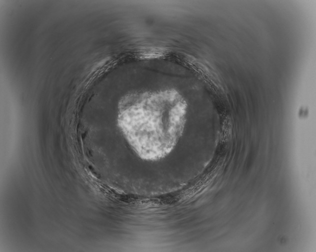 X0000098051441200804181311