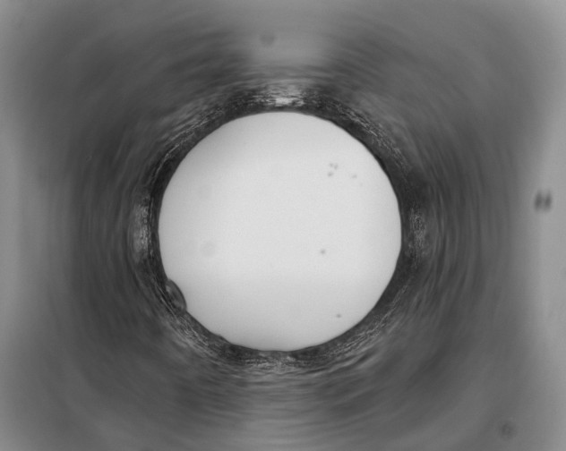 X0000098051442200804181311