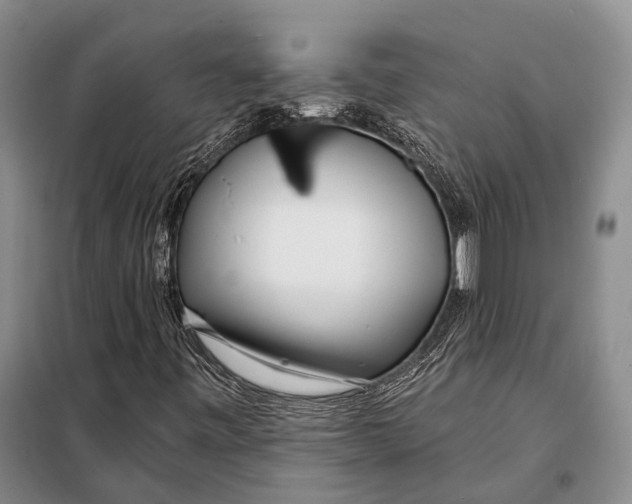 X0000098051443200804181311