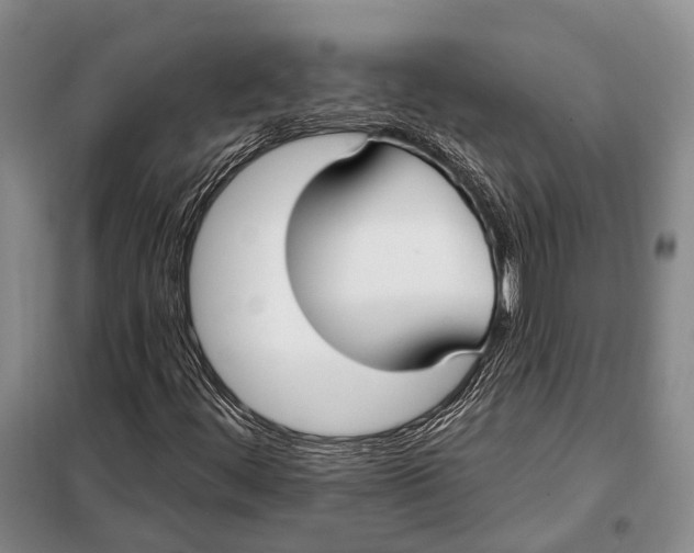 X0000098051444200804181311