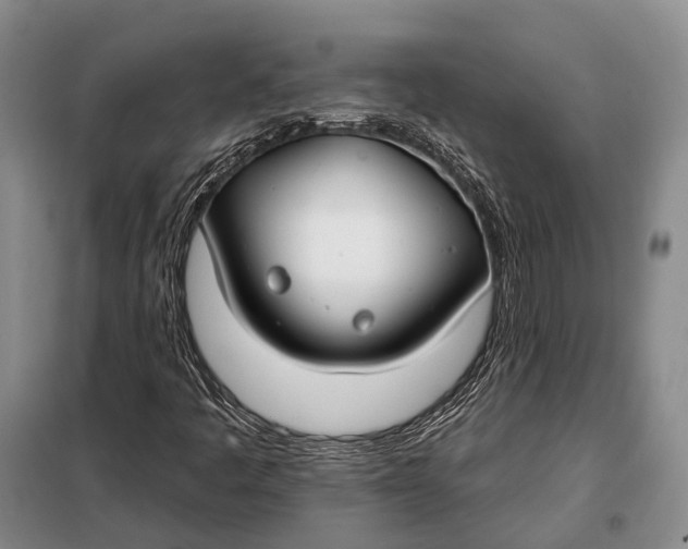 X0000098051445200804181311