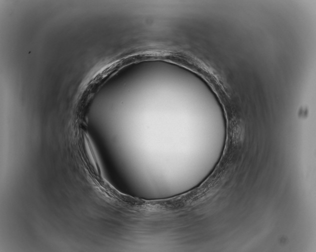 X0000098051448200804181311