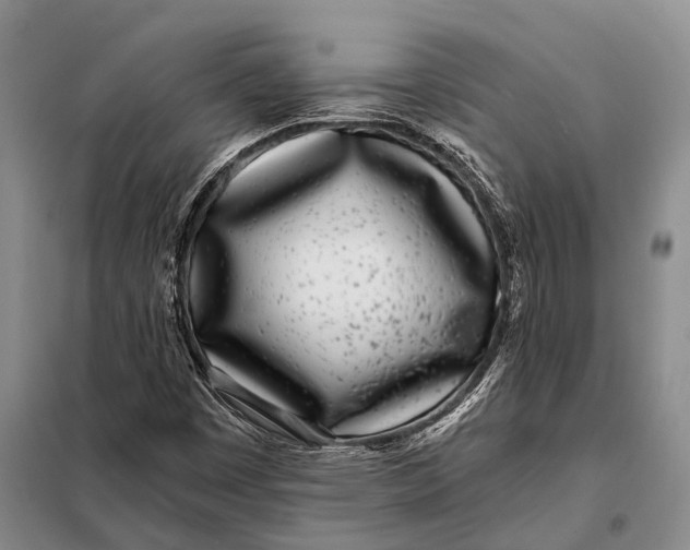 X0000098051449200804181311