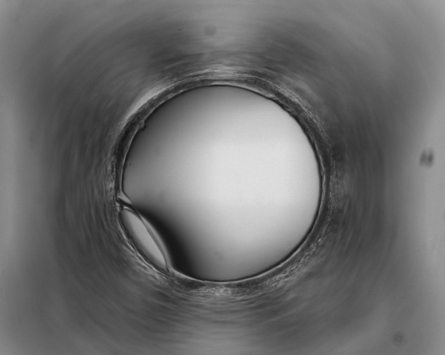 X0000098051450200804181311