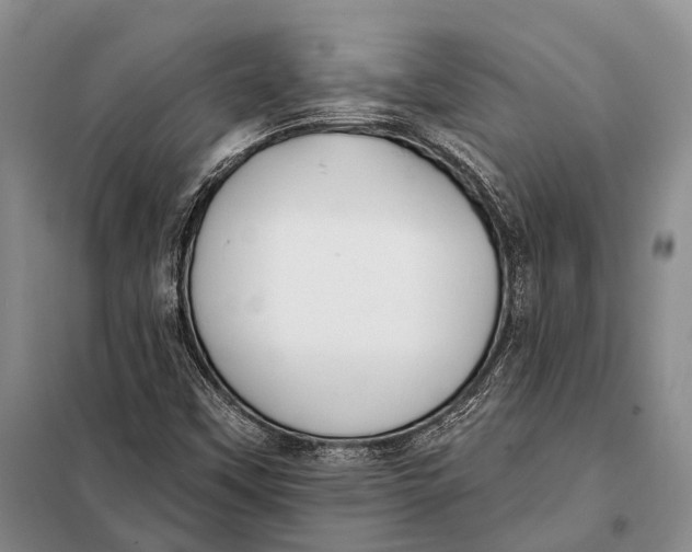 X0000098051451200804181311