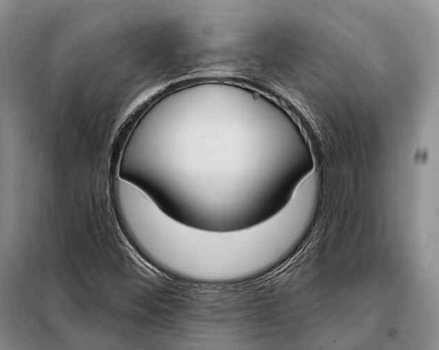 X0000098051452200804181311