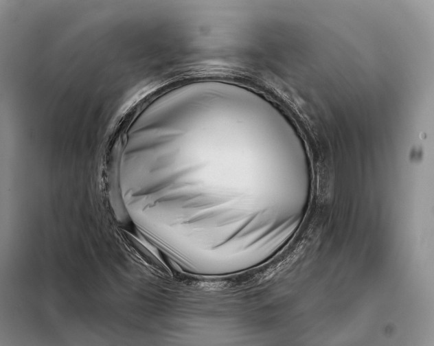 X0000098051453200804181311