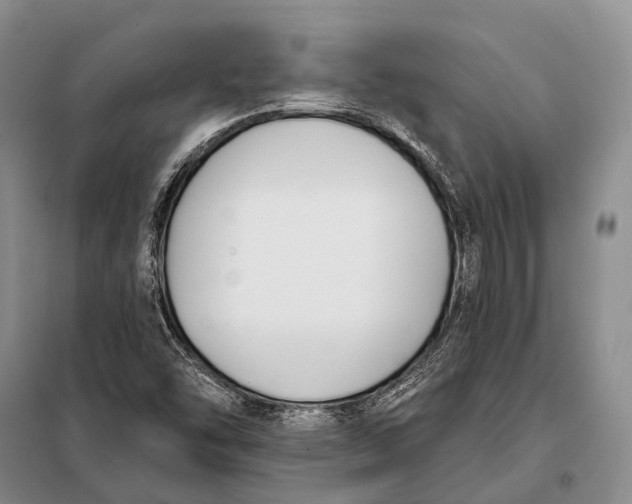 X0000098051454200804181311