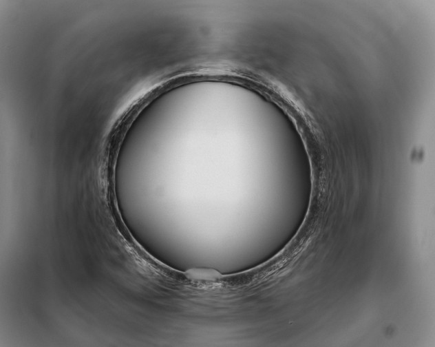 X0000098051456200804181311