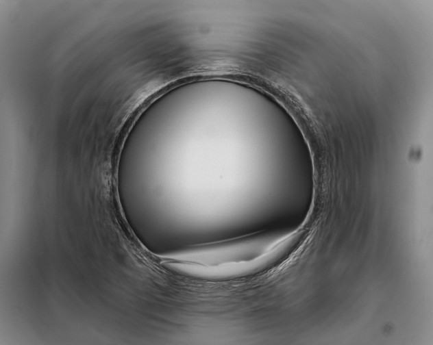 X0000098051457200804181311