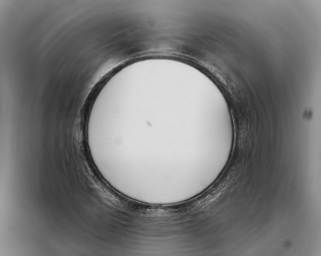 X0000098051458200804181311