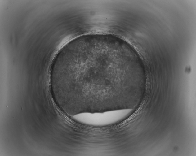 X0000098051459200804181311