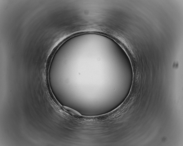 X0000098051460200804181311