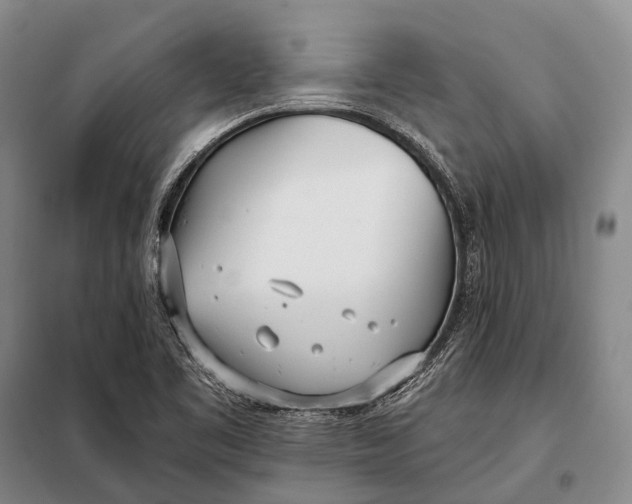 X0000098051461200804181311