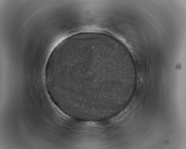 X0000098051463200804181310