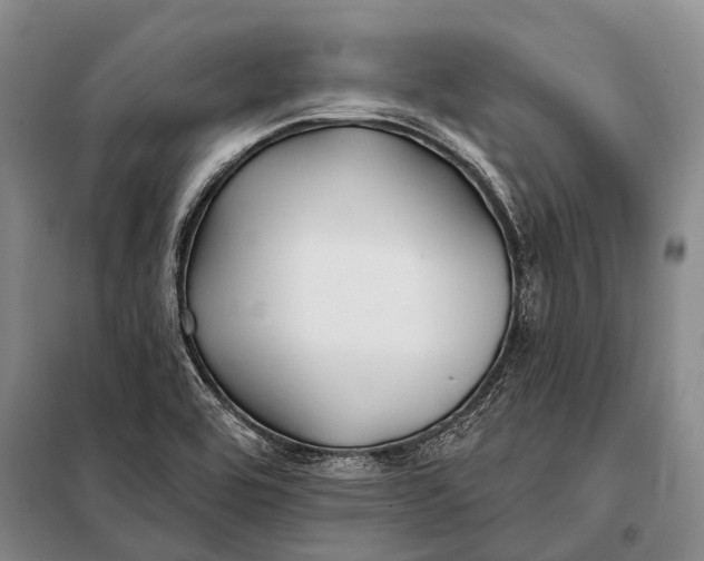 X0000098051464200804181310