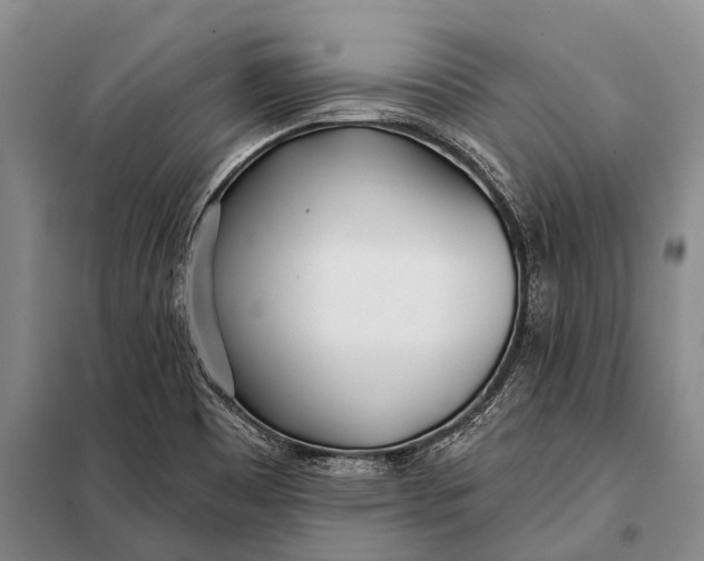 X0000098051465200804181310