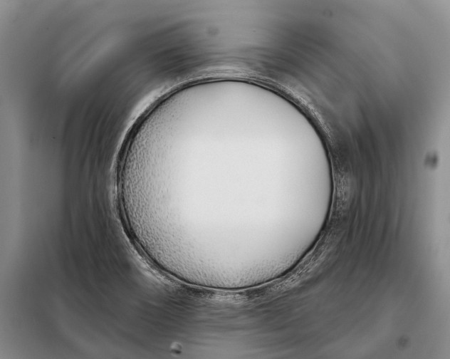 X0000098051466200804181310