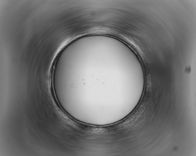 X0000098051467200804181310