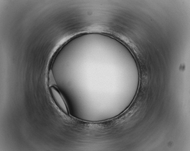 X0000098051469200804181310