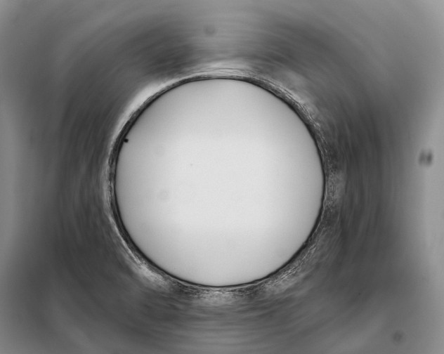 X0000098051470200804181310