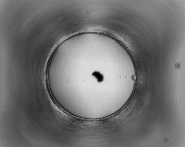 X0000098051471200804181310