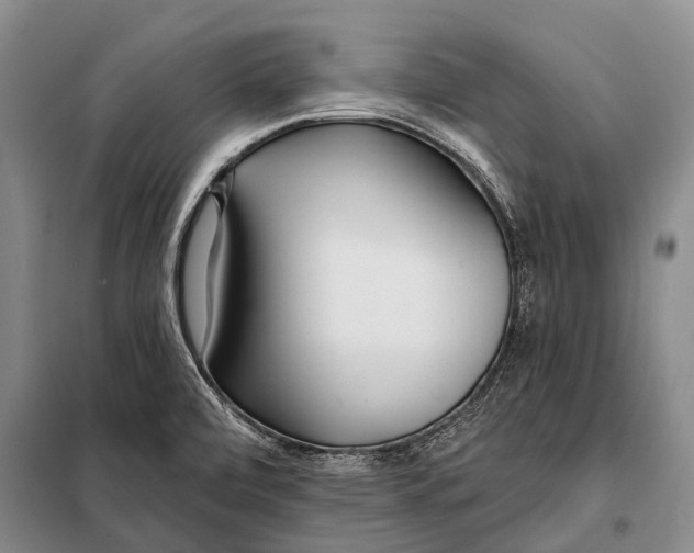 X0000098051472200804181310