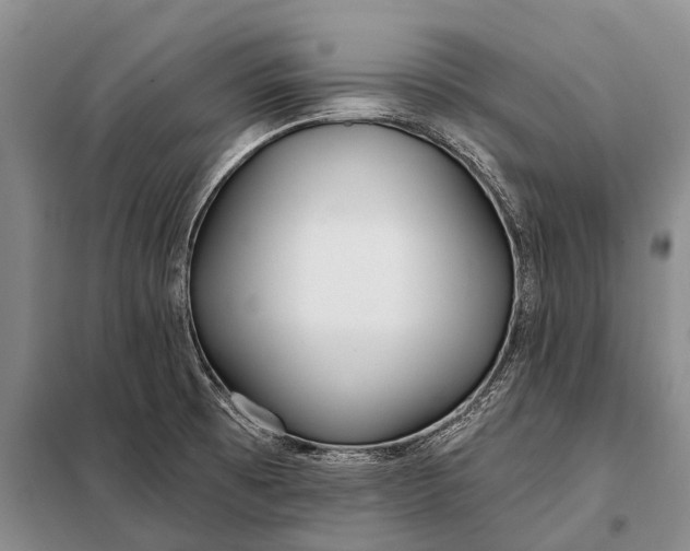 X0000098051473200804181310