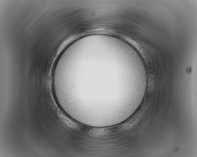 X0000098051474200804181310