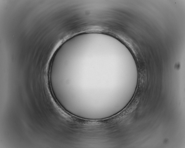 X0000098051475200804181310