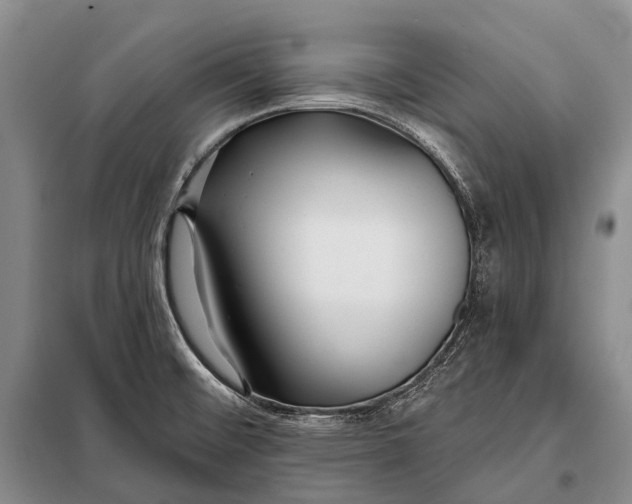 X0000098051476200804181310